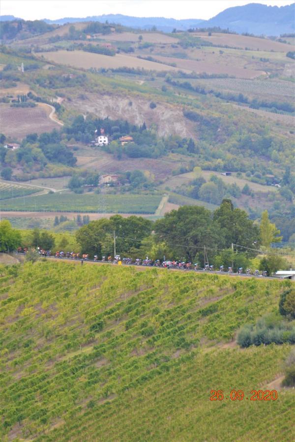 La Colombara - Fra I Colli A 5 Minuti Dall'Autodromo 이몰라 외부 사진