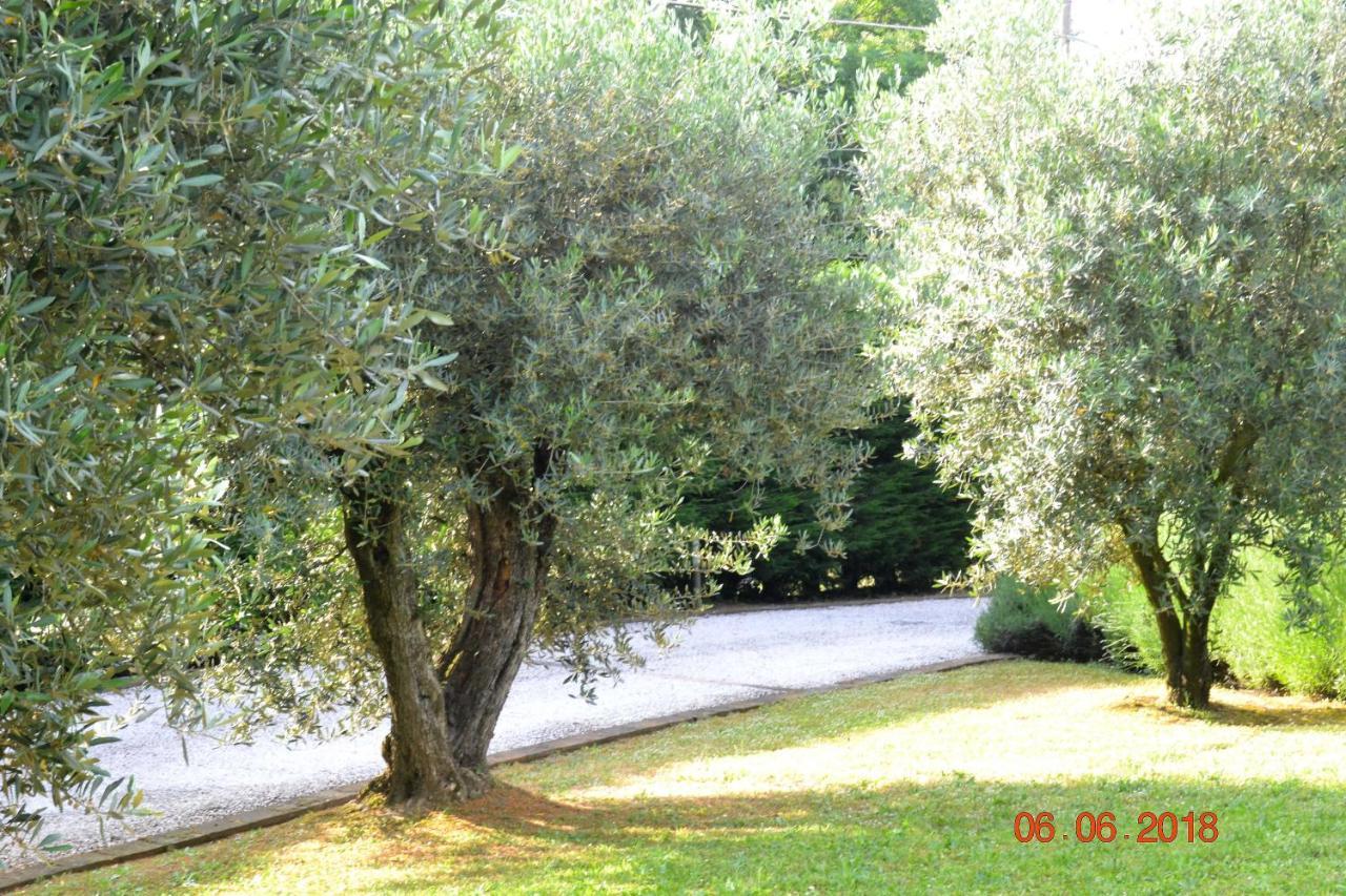 La Colombara - Fra I Colli A 5 Minuti Dall'Autodromo 이몰라 외부 사진